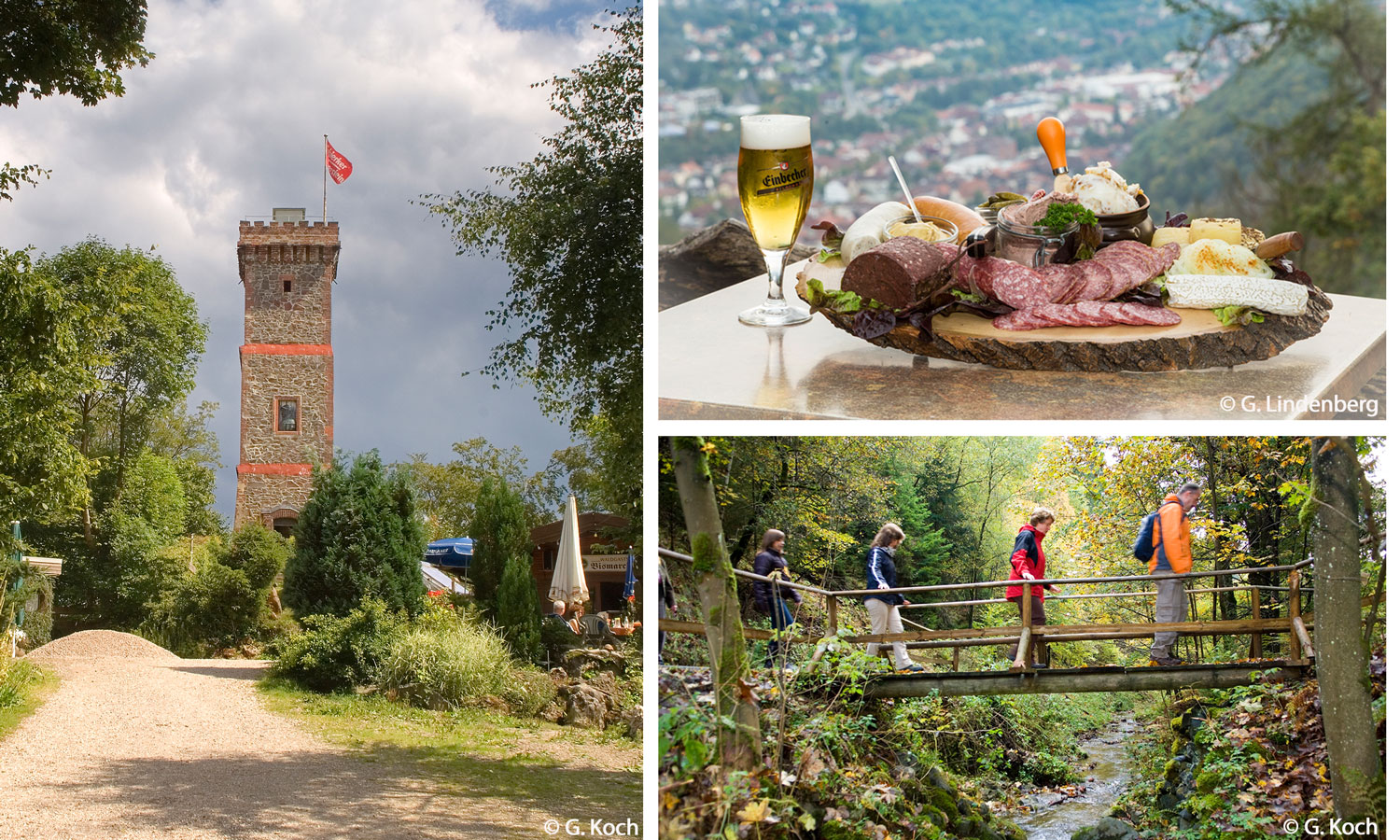 Beispielansichten vom Harzer BaudenSteig